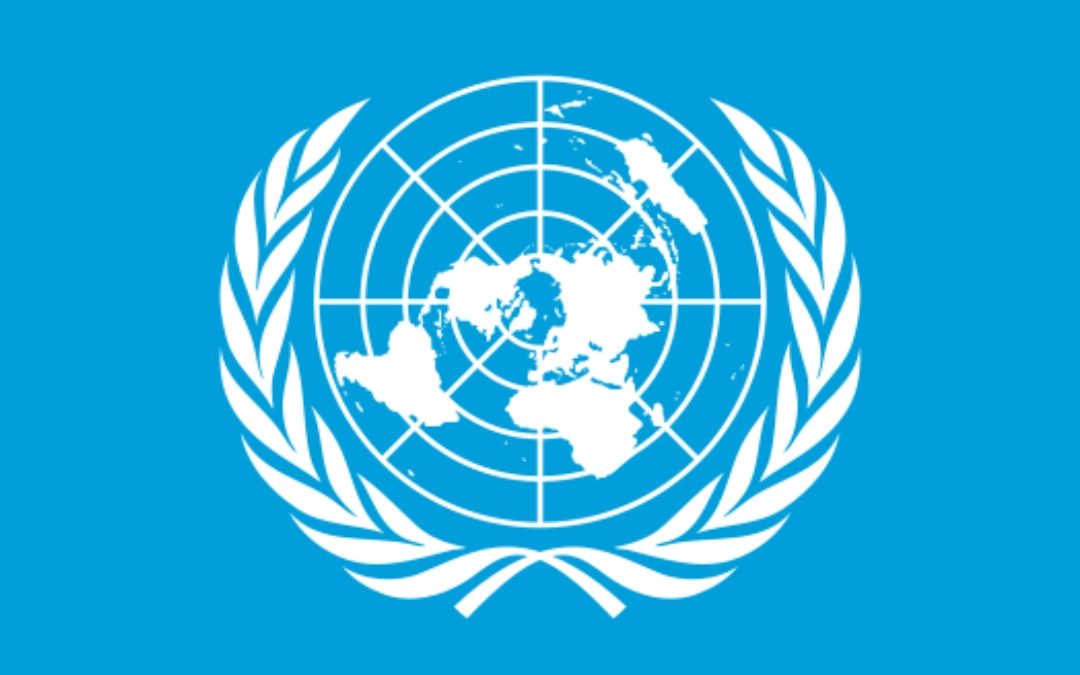 UNSC’ sanction list (12 March 2024)